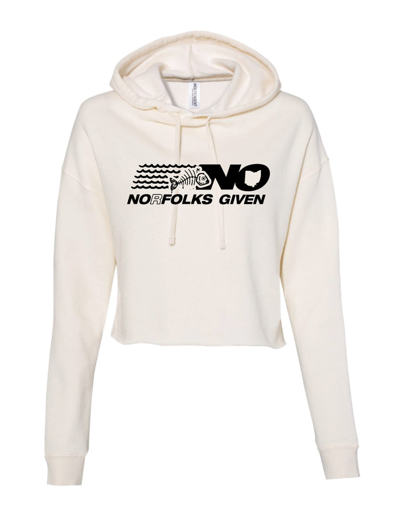 East Palestine Charity CropHoody